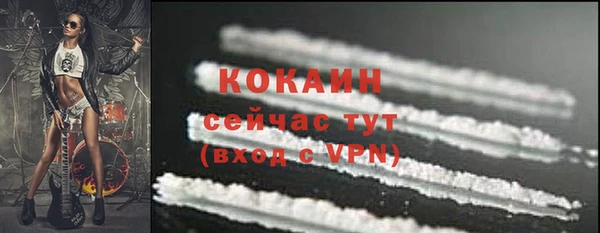 соль ск Алзамай