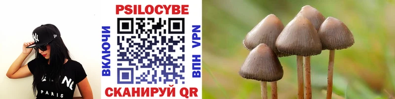 Псилоцибиновые грибы GOLDEN TEACHER  KRAKEN зеркало  Пласт 