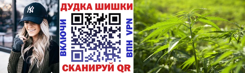 дарнет шоп Пласт Шишки марихуана гибрид